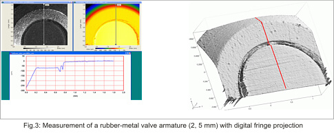 Fringe projection measurement