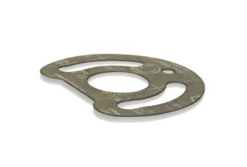 Graphite gasket